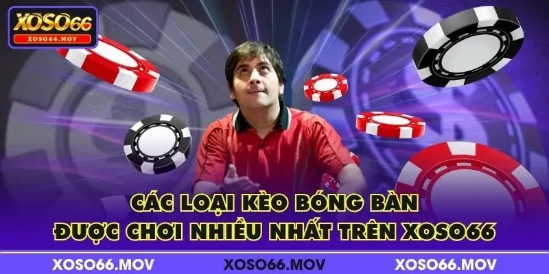 Các loại kèo bóng bàn được chơi nhiều nhất trên XOSO66