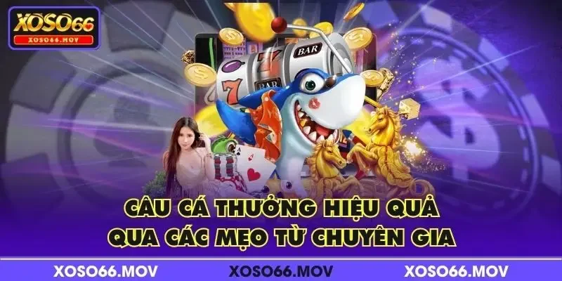 Câu Cá Thưởng hiệu quả qua các mẹo từ chuyên gia