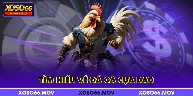 Tìm hiểu về đá gà cựa dao