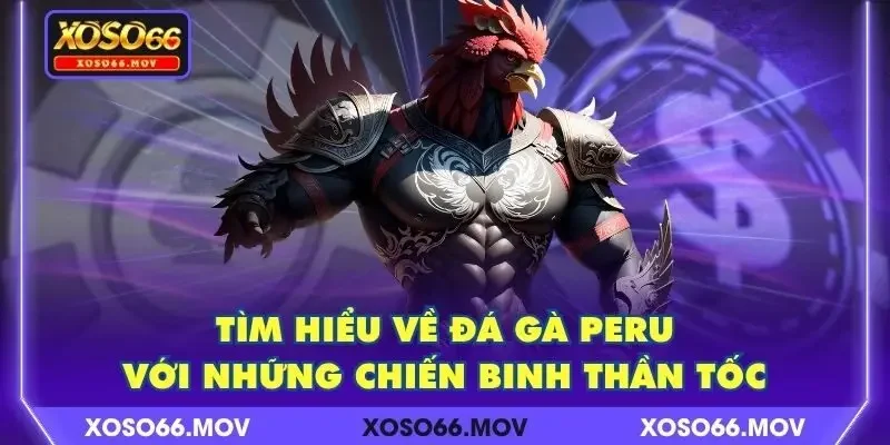 Tìm Hiểu Về Đá Gà Peru Với Những Chiến Binh Thần Tốc